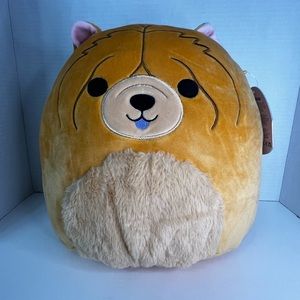 Squishmallow Ultra RARE Sandro